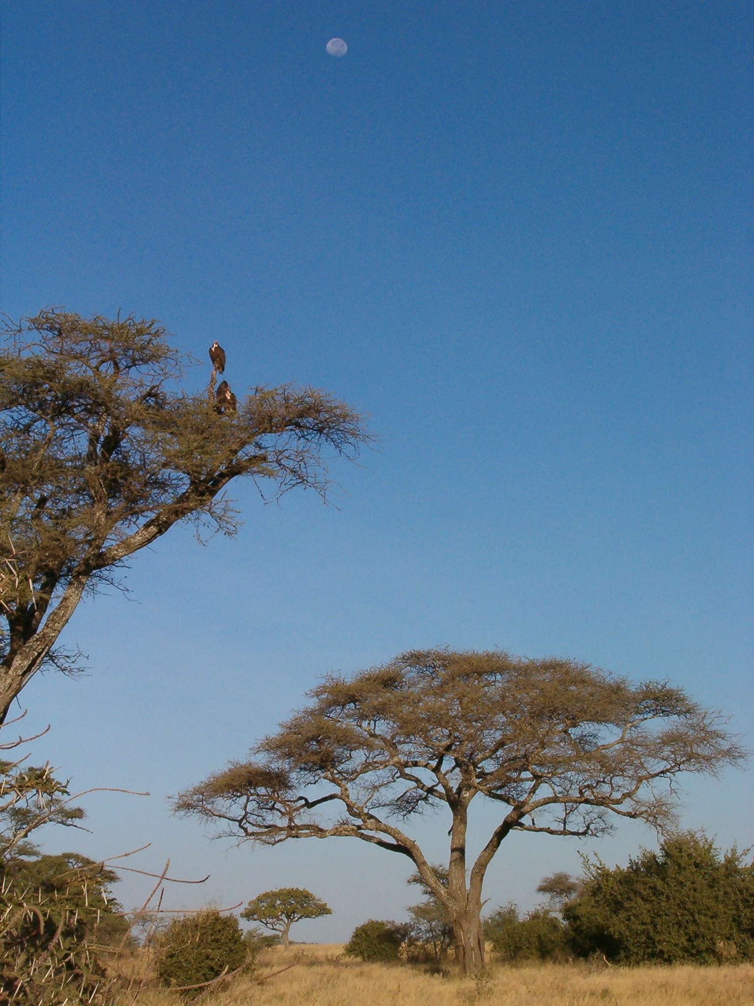 kruger-national-park-170151